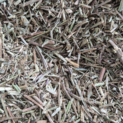 Vervain