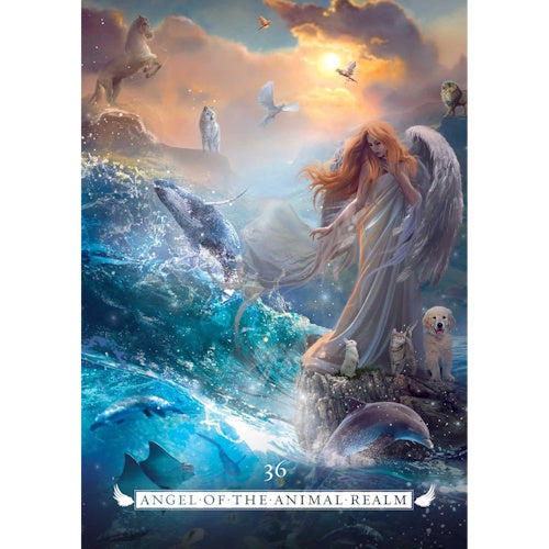 Angel Oracle