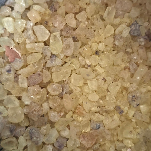 Copal Manilla