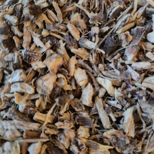 Echinacea wortel