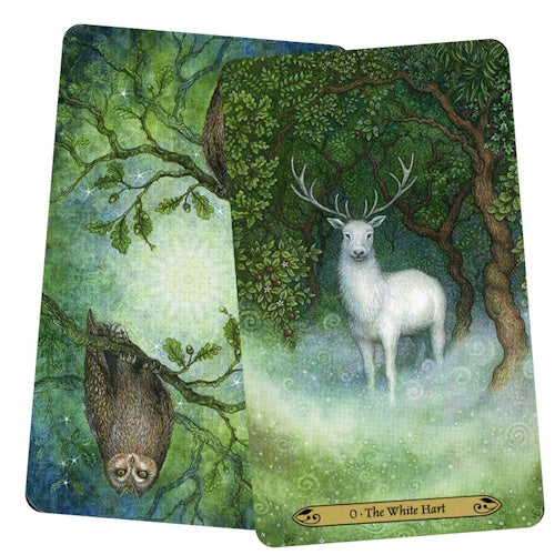 Forest of Enchantment Tarot
