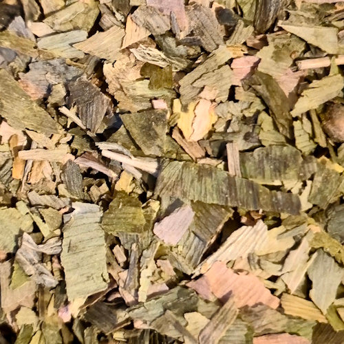 Ginkgo