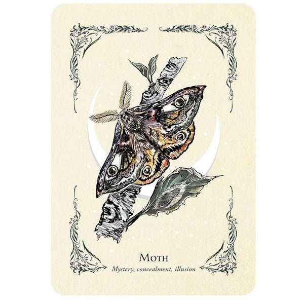Green Witch's Oracle Deck