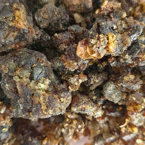 Guggul