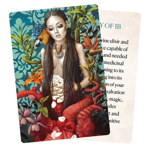 Medicine Heart Oracle - Pocket Panda Edition