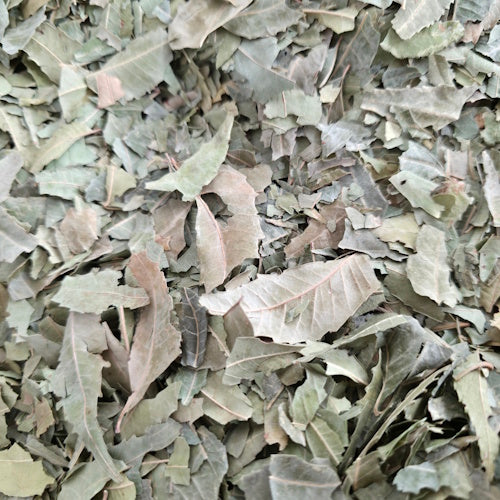 Neem bladeren