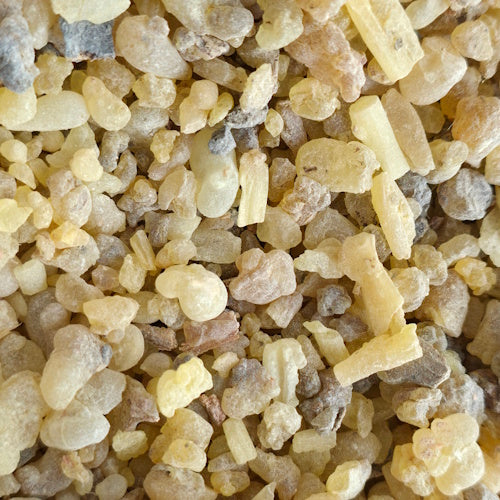 Olibanum India