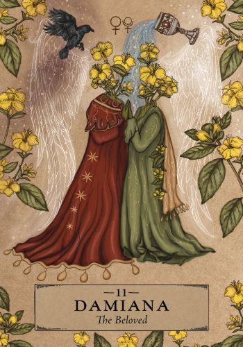 The Herbal Astrology Oracle
