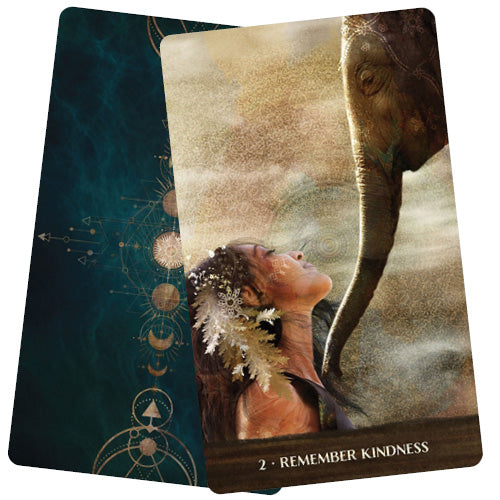 Wild Woman Rising
