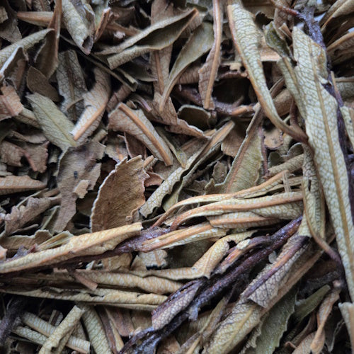 Yerba Santa