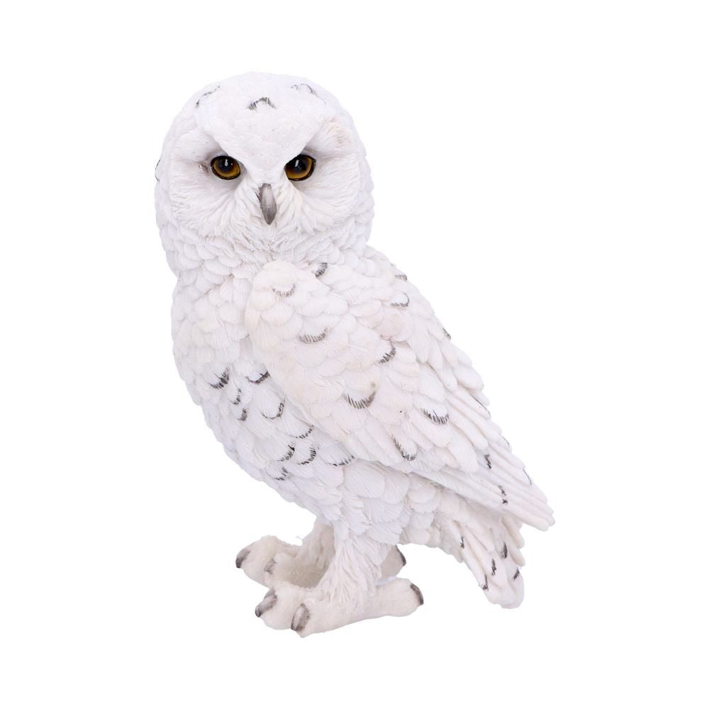 Snowy Watch Small White Owl