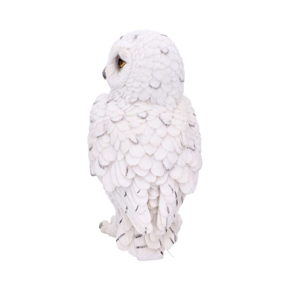 Snowy Watch Small White Owl