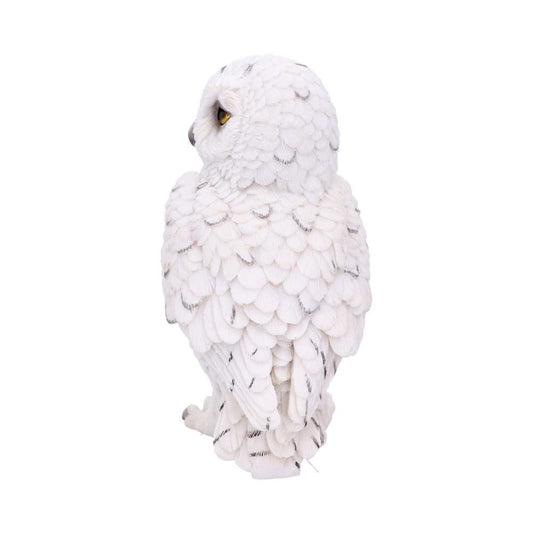 Snowy Watch Small White Owl