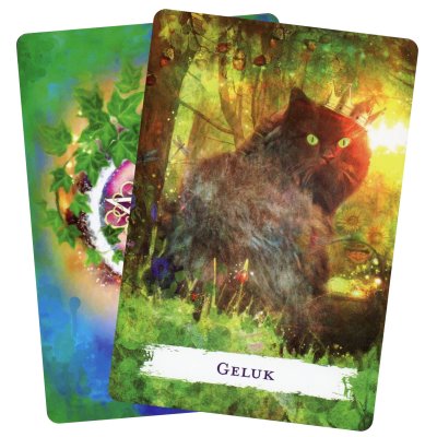 Wicca rituelen & Bezweringen