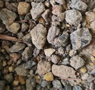 Copal Negro