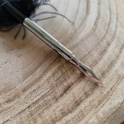 Kalligrafiepen Ganzenveer zwart