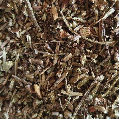Vervain