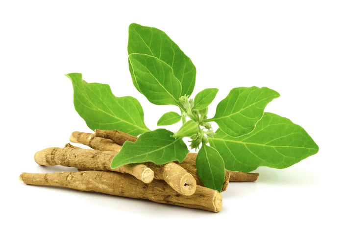 Ashwaganda