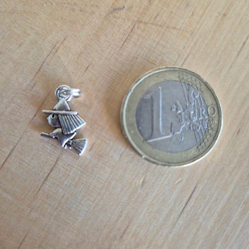 Hangertje Heks op bezem