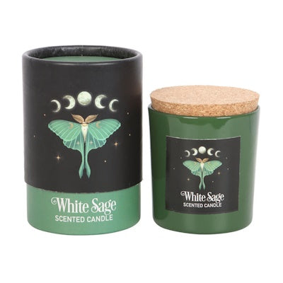 Luna Moth Witte Salie kaars