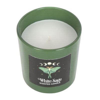 Luna Moth Witte Salie kaars