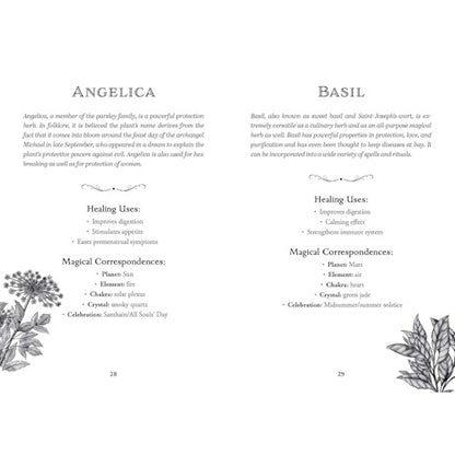 Green Witch's Deck of Magical Herbalism