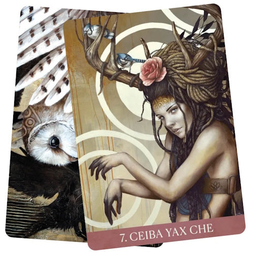 Medicine Heart Oracle