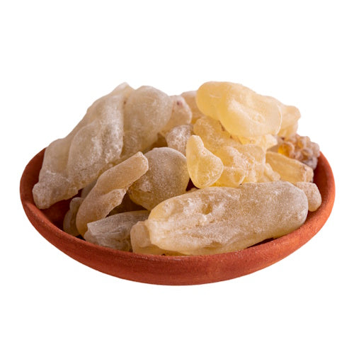 Olibanum Dalzielli