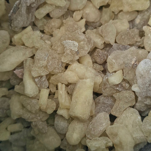 Olibanum Dalzielli