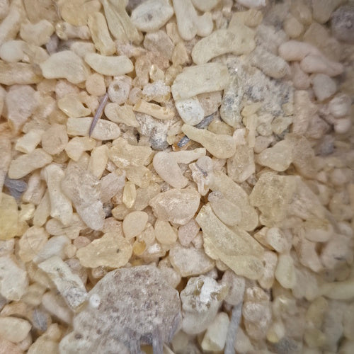 Sandarak