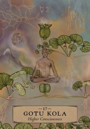 The Herbal Astrology Pocket Oracle