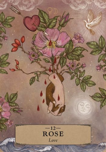 The Herbal Astrology Oracle