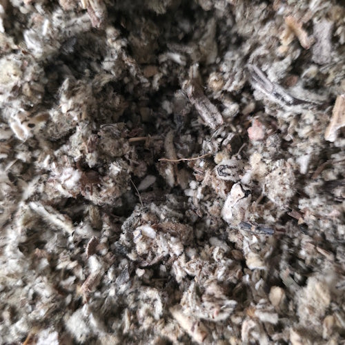 Toorts 10gr