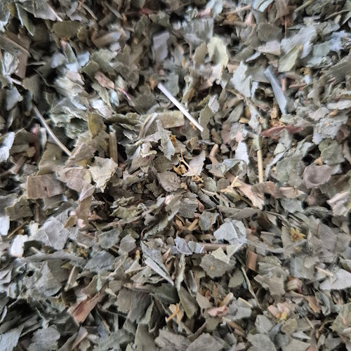 Vrouwenmantel 10gr