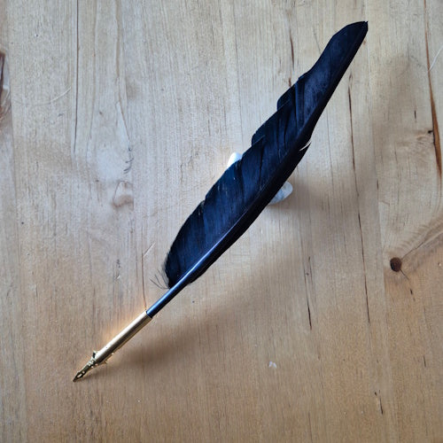 Kalligrafiepen Blauw