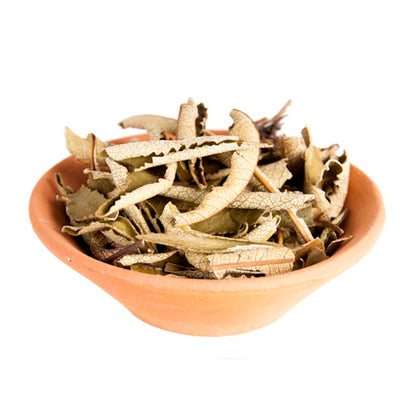 Yerba Santa