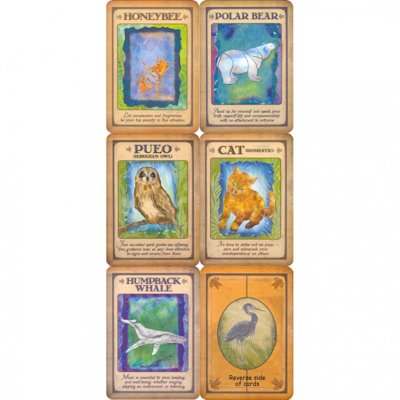 Messages from your Animal Spirit Guides Oracle Cards