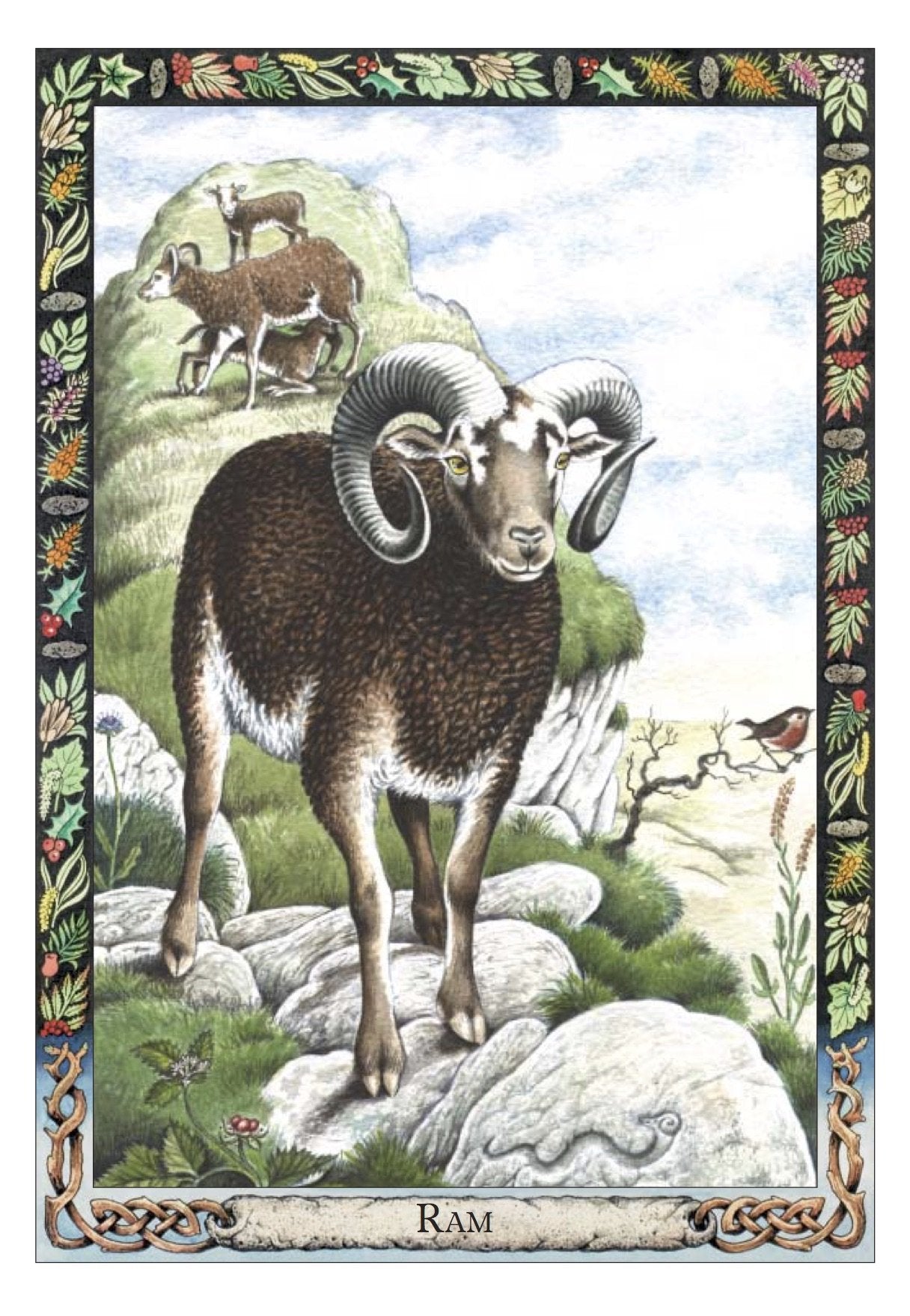 The Druid Animal Oracle Deck