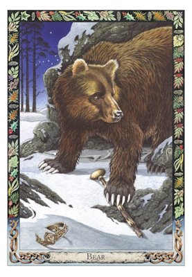 The Druid Animal Oracle Deck