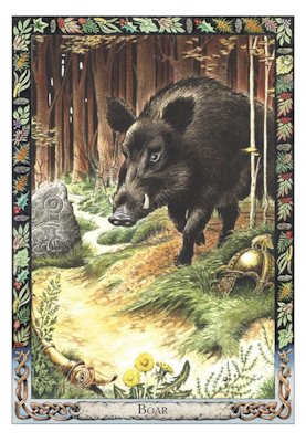 The Druid Animal Oracle Deck