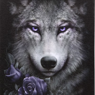 Wolf Roses